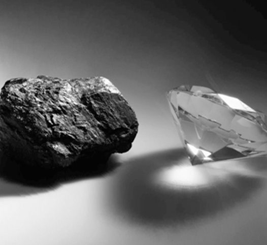 IT Application for Branch Managers