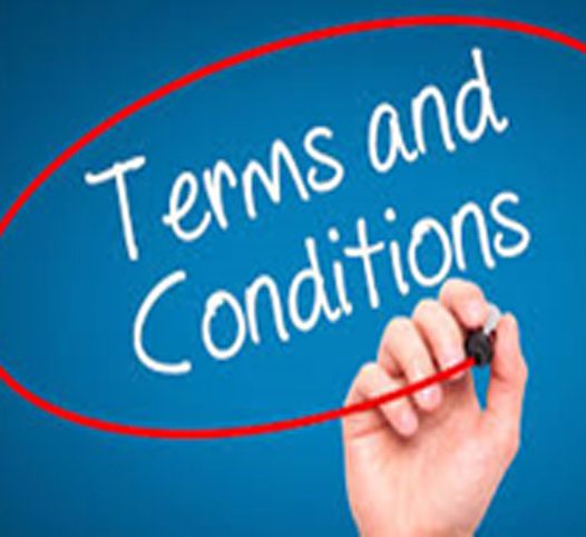 Microfinance Terms and Conditions