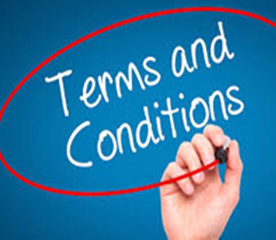 Microfinance Terms and Conditions