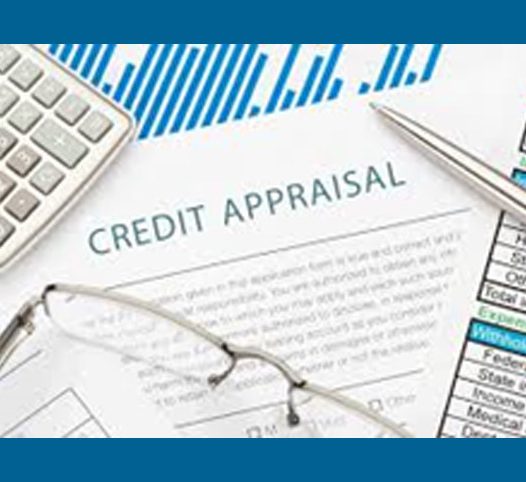 Client/Borrower Appraisal Techniques