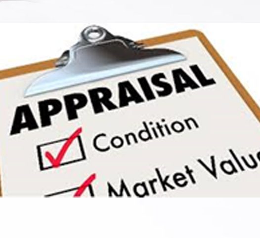 Micro Enterprise/ Business Appraisal and Development