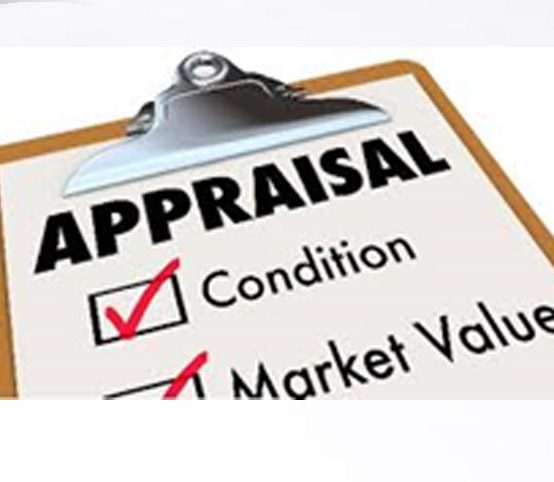 Micro Enterprise/ Business Appraisal and Development