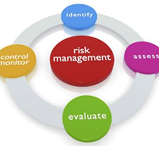 Risk Management, Internal Control and External Audit of Microfinance Institutions