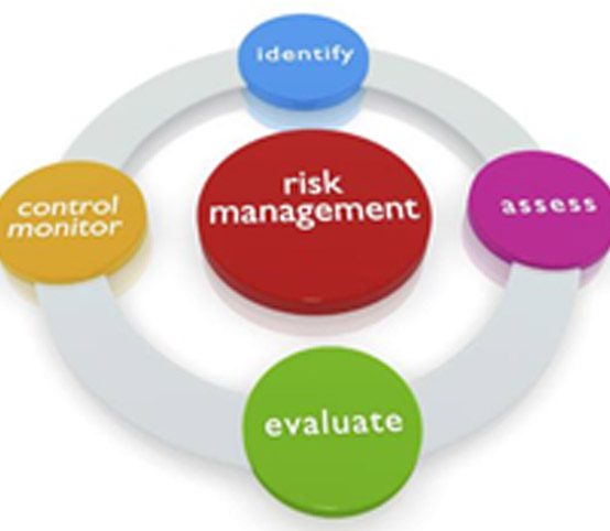 Risk Management, Internal Control and External Audit of Microfinance Institutions