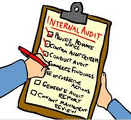 Internal Control and Internal Audits in MFIs