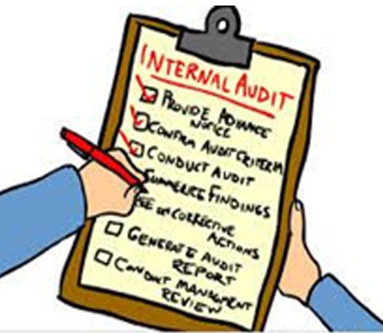 Internal Control and Internal Audits in MFIs