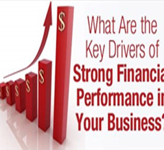 Main Principles of Financial Performance (Financial Performance versus Outreach)