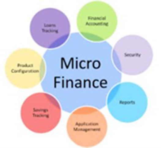 Financial Management for Efficiency in Microfinance