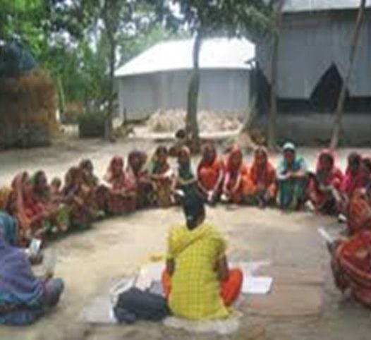 Roles and Responsibilities of Field Officers